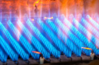 Pelcomb Cross gas fired boilers